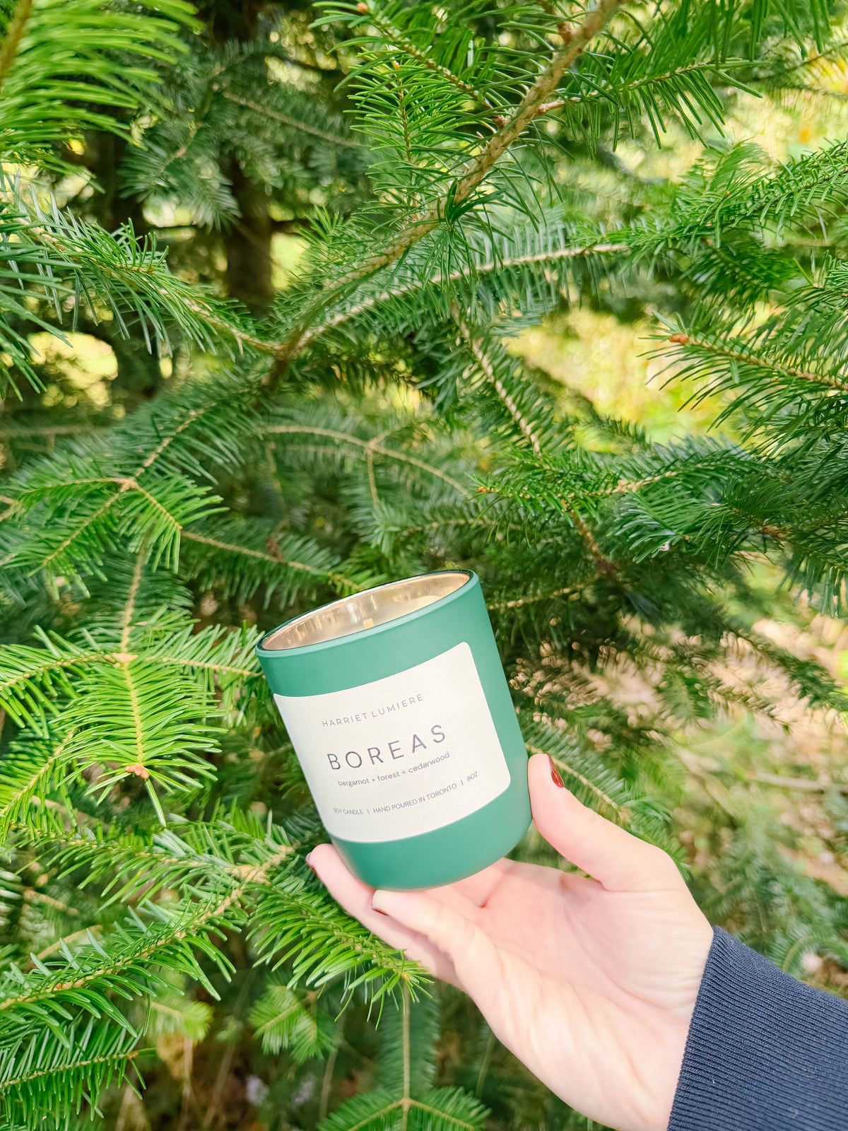 BOREAS SOY CANDLE