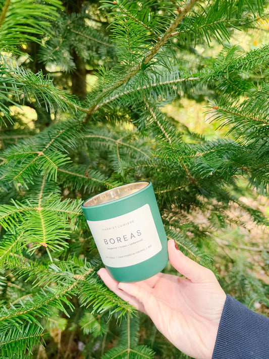 BOREAS SOY CANDLE