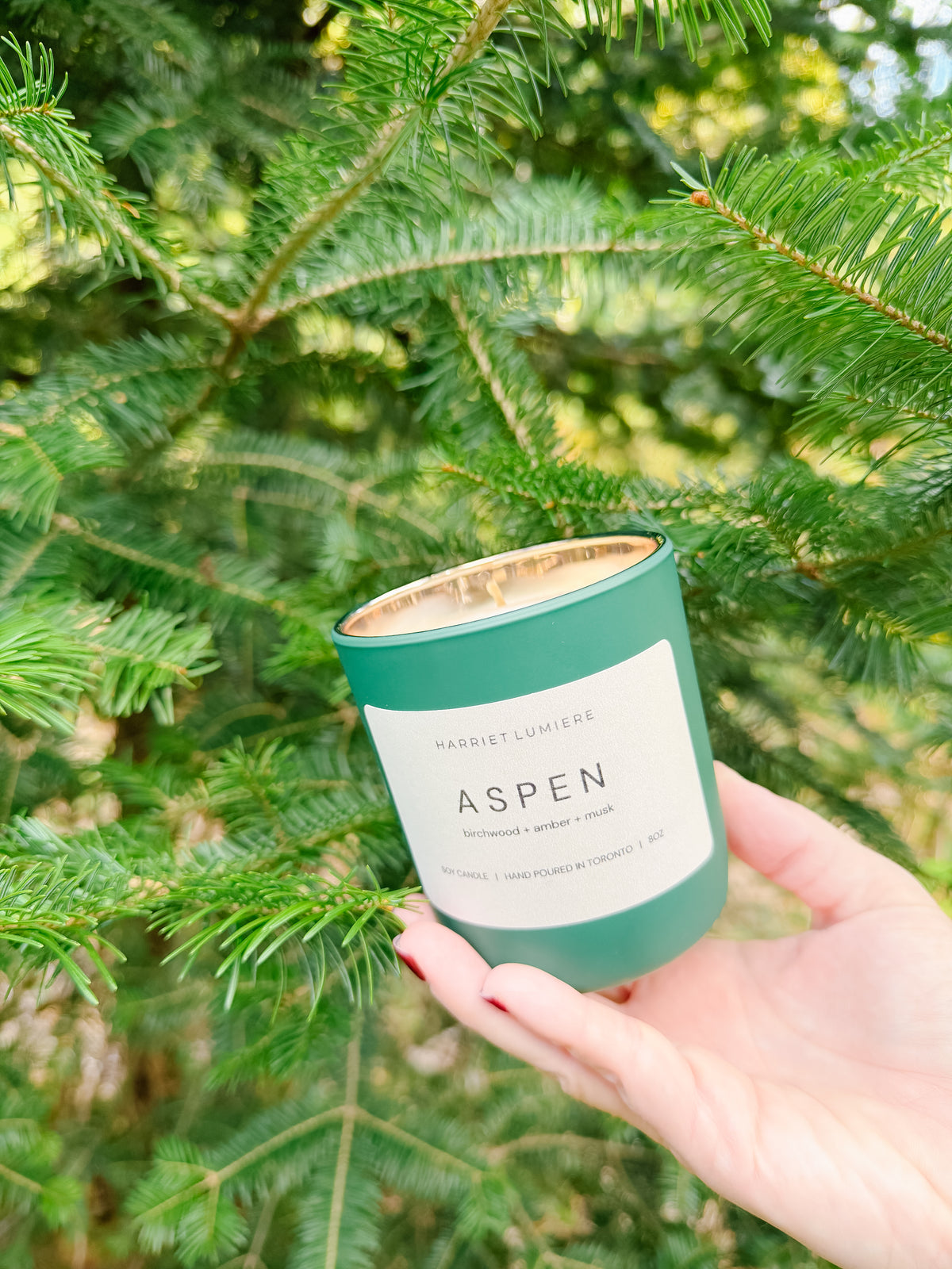 ASPEN SOY CANDLE