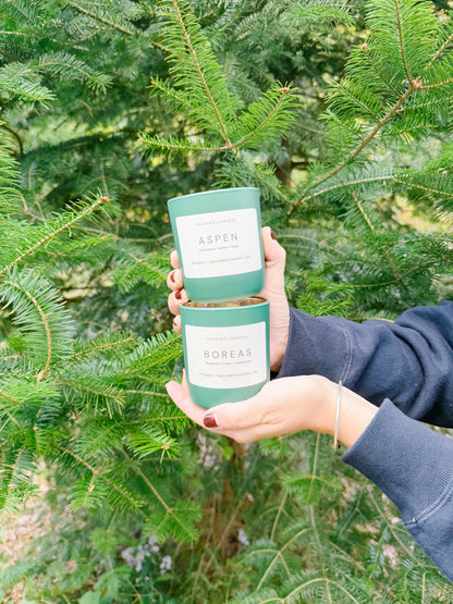 BOREAS SOY CANDLE