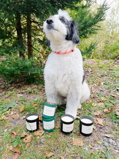 BOREAS SOY CANDLE