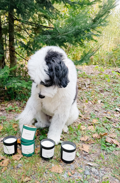 LUMI SOY CANDLE
